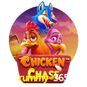 rummy 365 — Chicken Chase crash game | Play on Android APK & iPhone for real money | Hacksaw Gaming