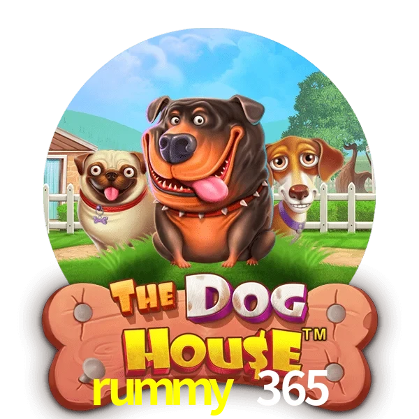 rummy 365 — The Dog House slot | Play on Android APK & iPhone for real money | Pragmatic Play